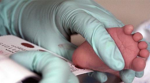 Blood sample being taken from a newborn's heel for screening