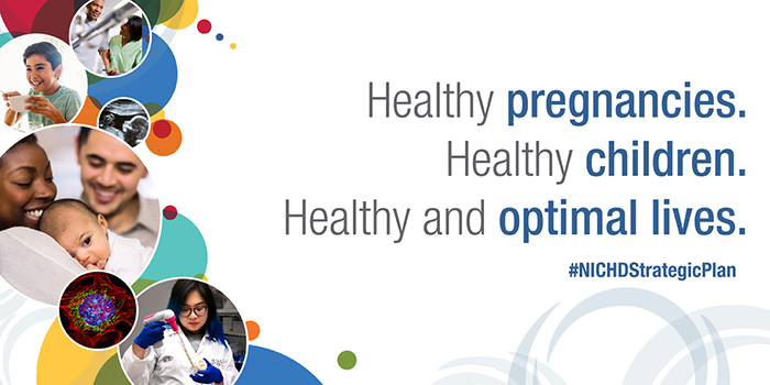 Infocard with NICHD's new tagline, “Healthy pregnancies. Healthy children. Healthy and optimal lives.” and the #NICHDStrategicPlan hashtag on the right. On the left, there are colorful circles with images of a rehabilitation patient and nurse, a child eating, an ultrasound of a fetus, a biracial couple and infant, fluorescent cell microscopy, and a female researcher pipetting in the lab.