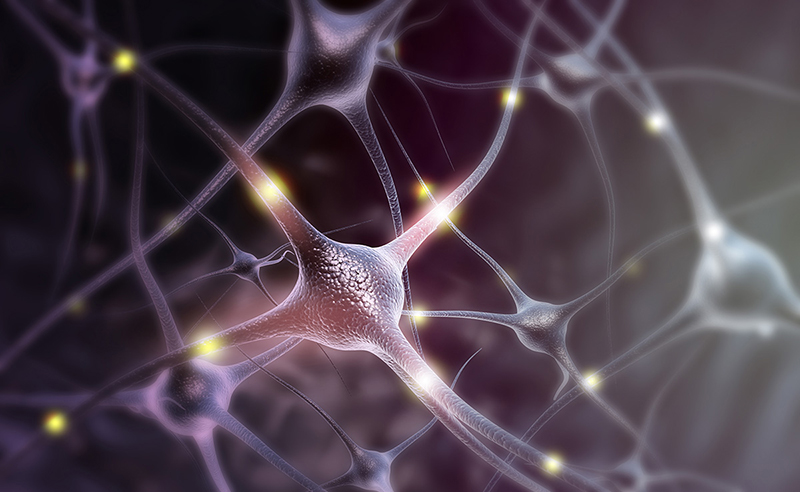 Artist conception of neurons.