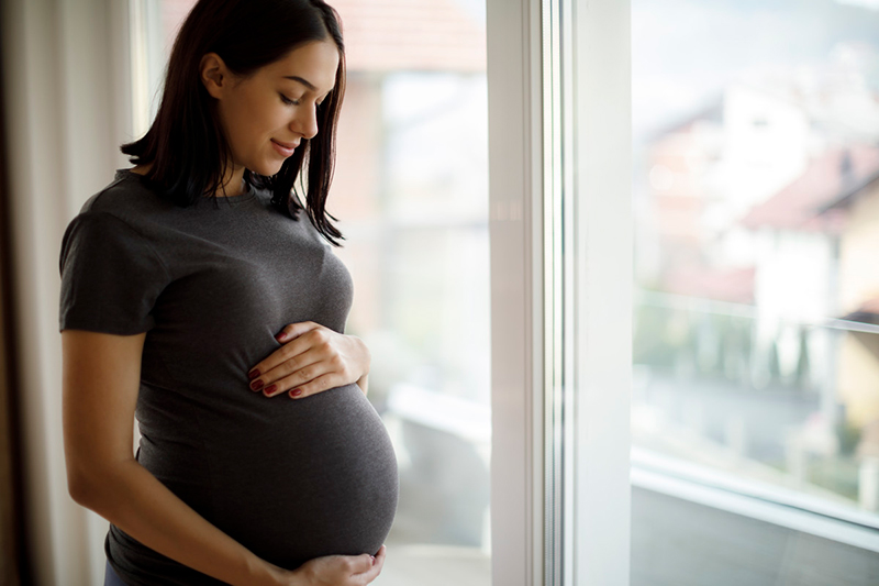 Pregnant person facing a window.