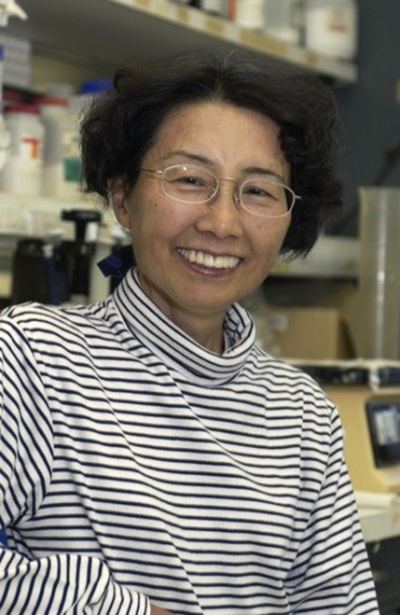 Photograph of a young Dr. Ozato smiling in her lab. 