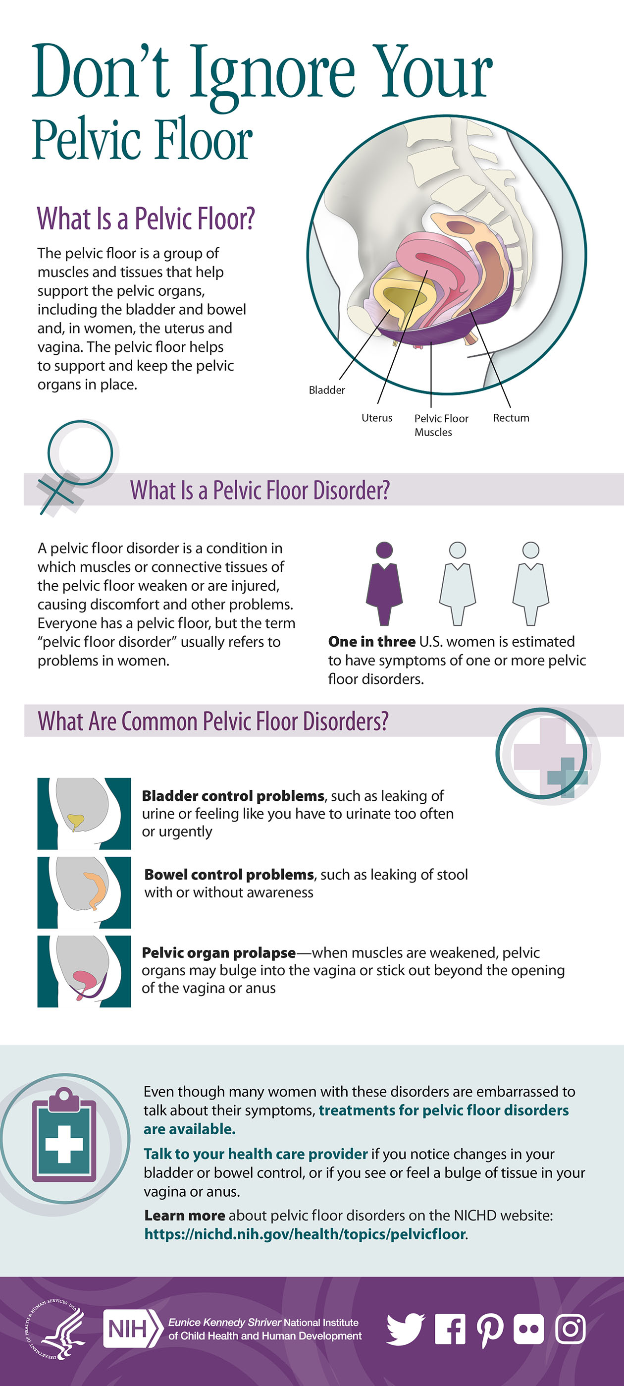 Pelvic Floor Physical Therapy Frequently Asked Questions Arizona