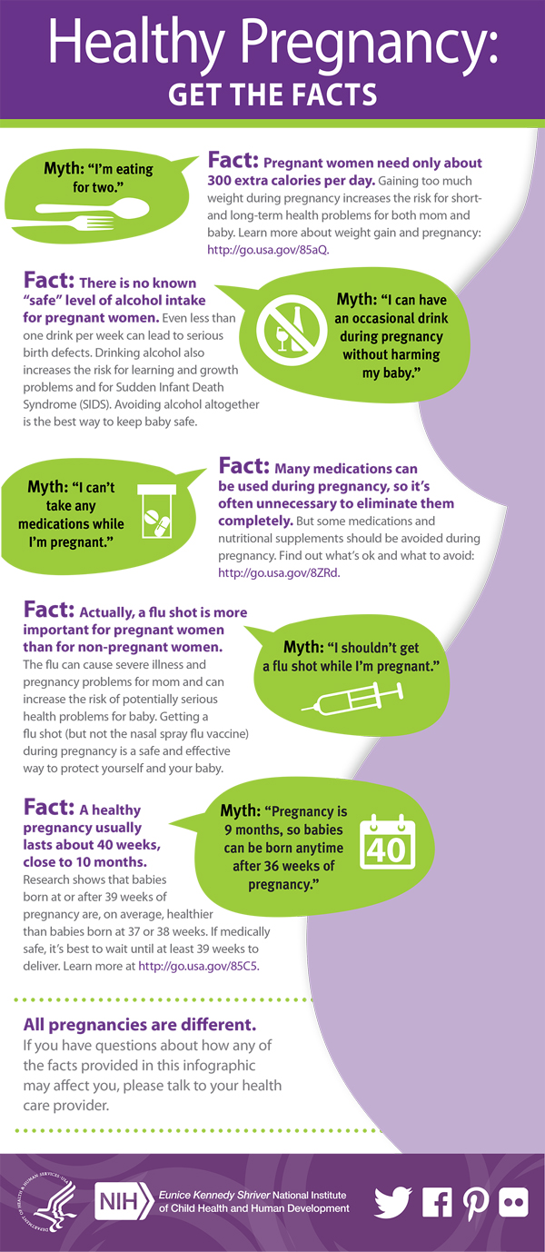 Infographic: Pregnancy Myths