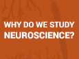 Why Do We Study Neuroscience?