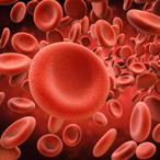 Stock image of red blood cells