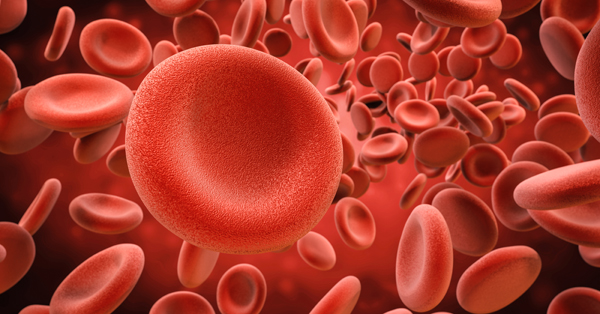 Stock image of red blood cells
