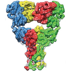 Three-dimensional structure of glutamate receptor in desensitized state