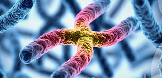 Chromosomes are colored blue, with the chromosome in the center of the image colored in shades of yellow, pink, purple, and blue.