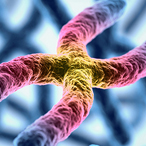 Chromosomes are colored blue, with the chromosome in the center of the image colored in shades of yellow, pink, purple, and blue.