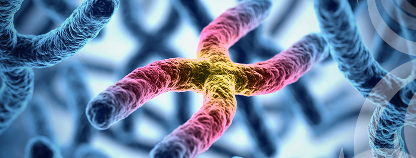 Chromosomes are colored blue, with the chromosome in the center of the image colored in shades of yellow, pink, purple, and blue.