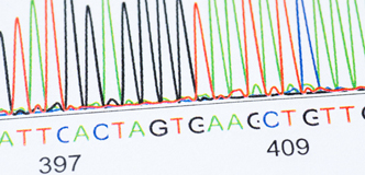 line drawing of a DNA sequence
