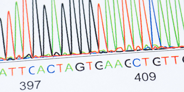 line drawing of a DNA sequence