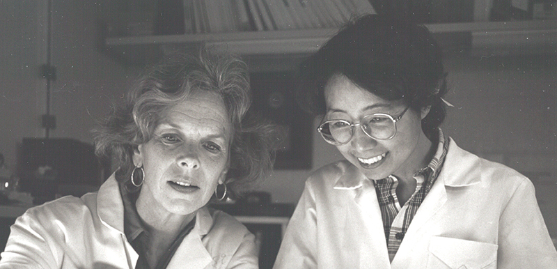 Black and white, undated photograph of a young Dr. Ozato and a colleague, both wearing lab coats.