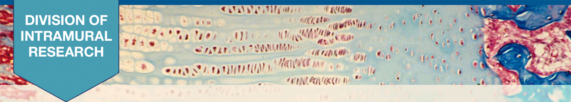 Jeffrey Baron Lab Header.