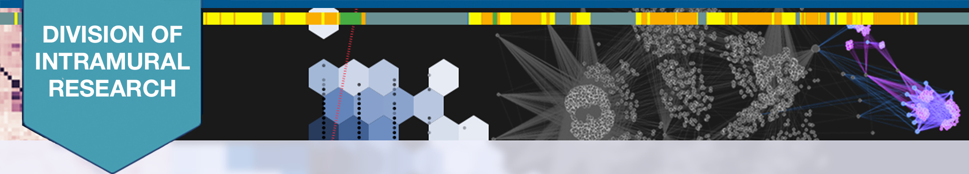 Bioinformatics and Scientific Programming Core header