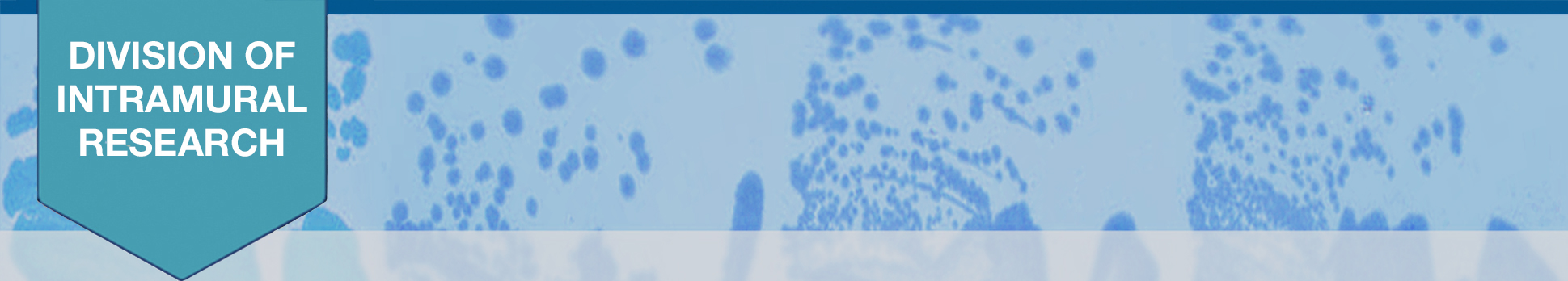 Storz Lab Header.