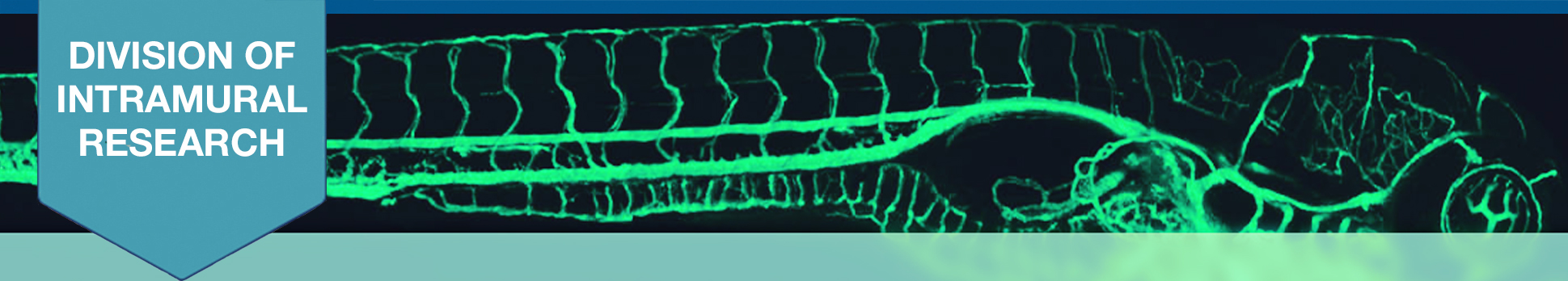 Weinstein Lab Header.