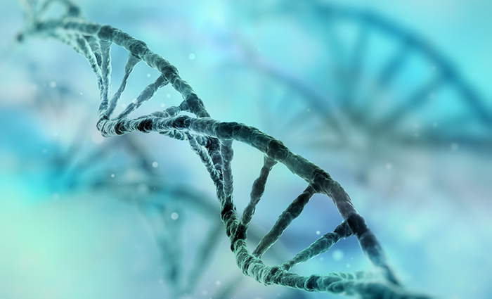 Graphic of a DNA double helix.