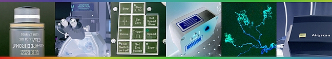 Microscopy and Imaging Core header.