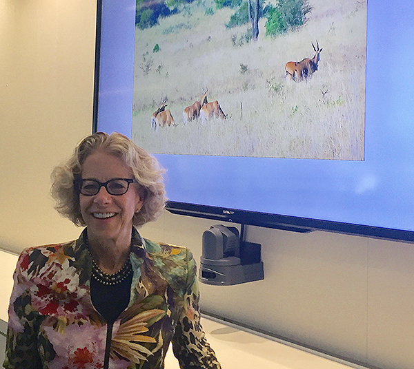 Dr. Bianchi standing before a screen depicting a slide of gazelles