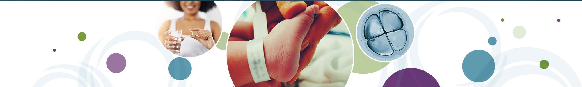 A series of multicolored circles behind three overlapping circular images. From left to right: a woman taking folic acid; a healthcare provider holding a baby’s foot; a blastocyst.