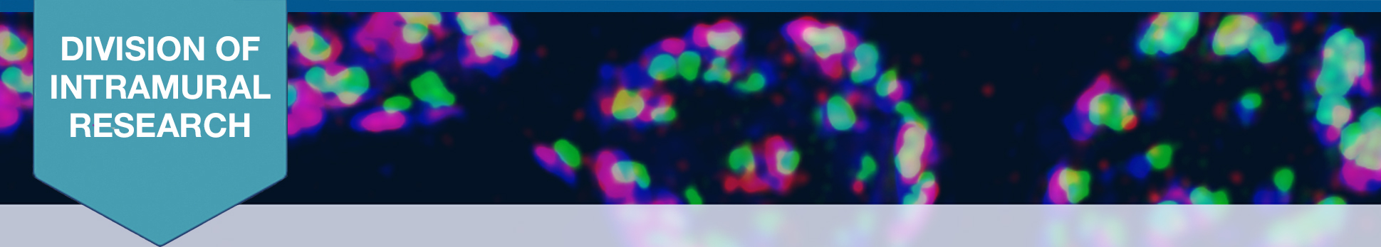 Division of Intramural Research banner