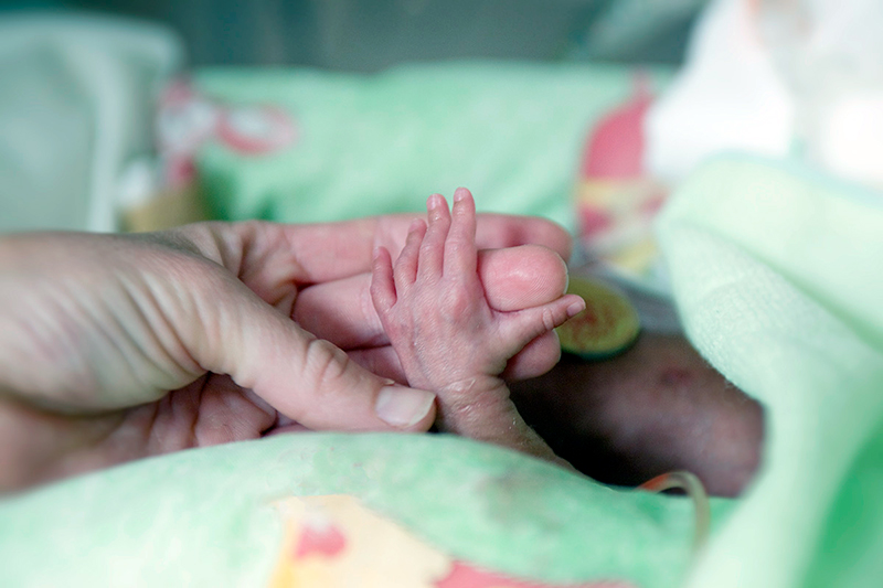 Tiny preterm infant hand touching an adult’s finger.