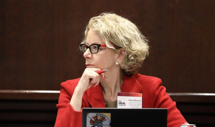 NICHD Director Dr. Diana Bianchi observes during an NIH HEAL Initiative meeting.