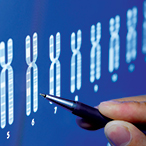 A hand-held stylus, pointing at X chromosomes on a screen.