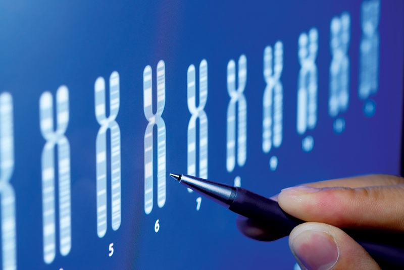 A hand-held stylus, pointing at X chromosomes on a screen.