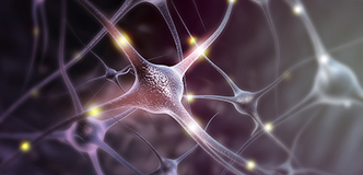 Artist conception of neurons.