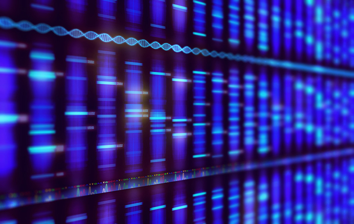 Lighted screen showing bands of DNA.