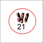 A chart of human chromosomes showing the extra 21st chromosome present in Down syndrome.