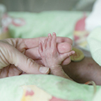 Preterm infant’s hand gripping an adult’s fingers.