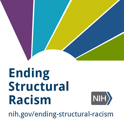 Graphic showing link to NIH’s ending structural racism page.