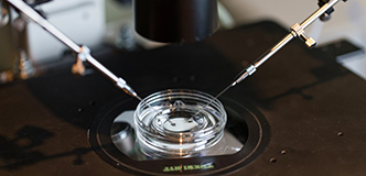 A petri dish on a microscope platform with two syringes on either side of the dish.