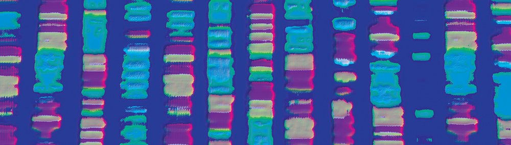 Segment of a genomic barcode.