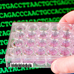 Lab worker holding fluid-filled sample dish in front of a computer screen displaying genetic code letters.