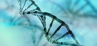 DNA double helix.