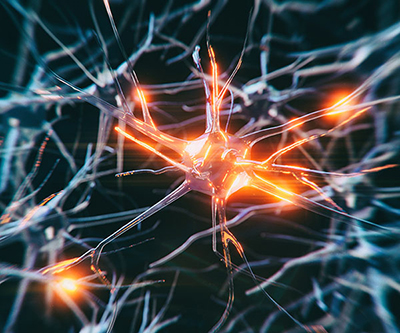 Three-dimensional illustration of interconnected neurons cells with electrical pulses.