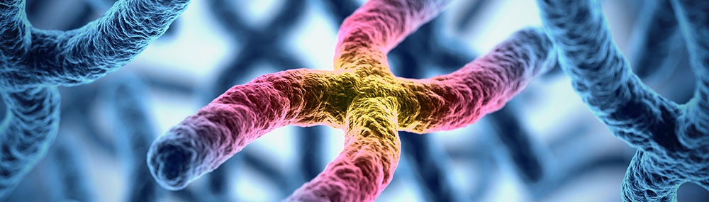 Three-dimensional illustration of chromosomes.