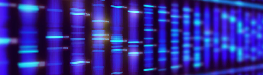 A genome map depicting DNA as a series of multicolored bars.