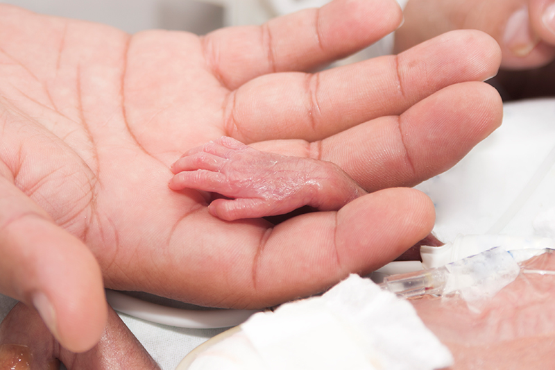 An adult’s hand holding the hand of a premature baby lying in an incubator.