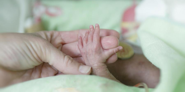 Hand of a mother holding baby's hand in a NICU.