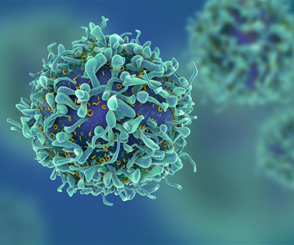 The cell in the forefront is blue with lighter green protrusions on its surface. Additional T cells are visible in the background.