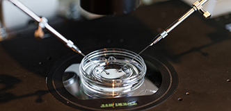 Instruments over a glass dish for in vitro fertilization procedure.