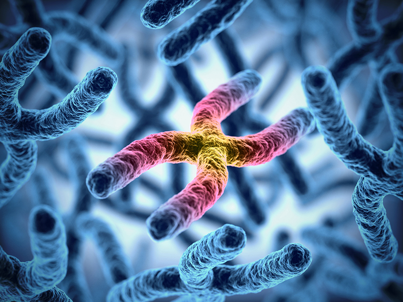 Artistic rendering of X-shaped chromosomes, which are blue. The center chromosome is colored differently, with a yellow center that changes to pink, purple, and blue as it moves toward the chromosome ends.