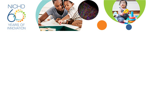 A series of three images related to early learning including: a caregiver and young child (left), neurons within the brain displayed in various colors (middle), and a young child sitting with a ring stacking toy (right) all alongside the NICHD 60 years logo.