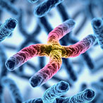 3D illustration of chromosomes.