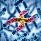 3D illustration of chromosomes.